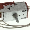 C00418770 482000024073 THERMOSTAAT
