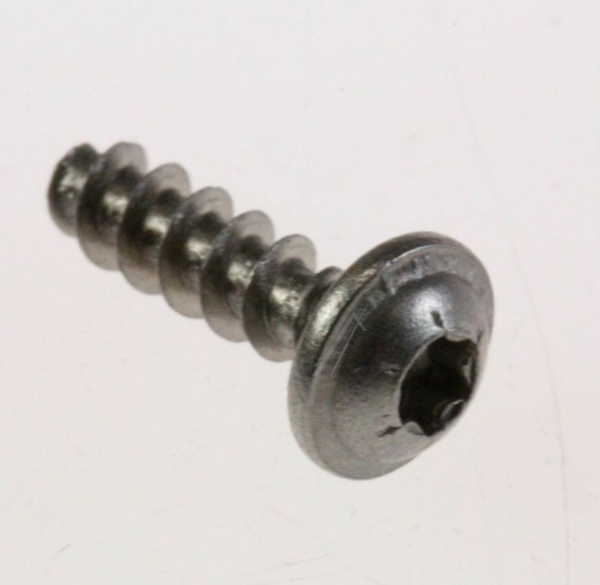 12001728 996530070321 SCHROEF TORX 10 3,5X12 PLAST.SS