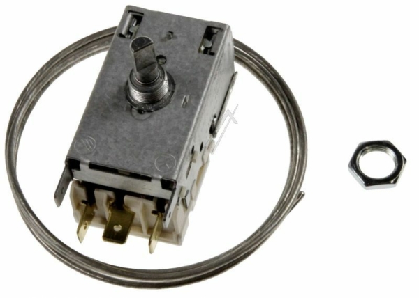 9002756185 C00866203 THERMOSTAAT K59L2196000