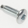 409818400 SCHROEF M4X11,5 T15
