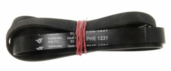 1231H8EL/ MA POLY V SNAAR,  ELASTISCH